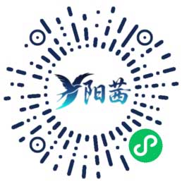 阳茜科技小程序